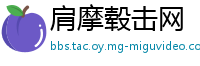 肩摩毂击网